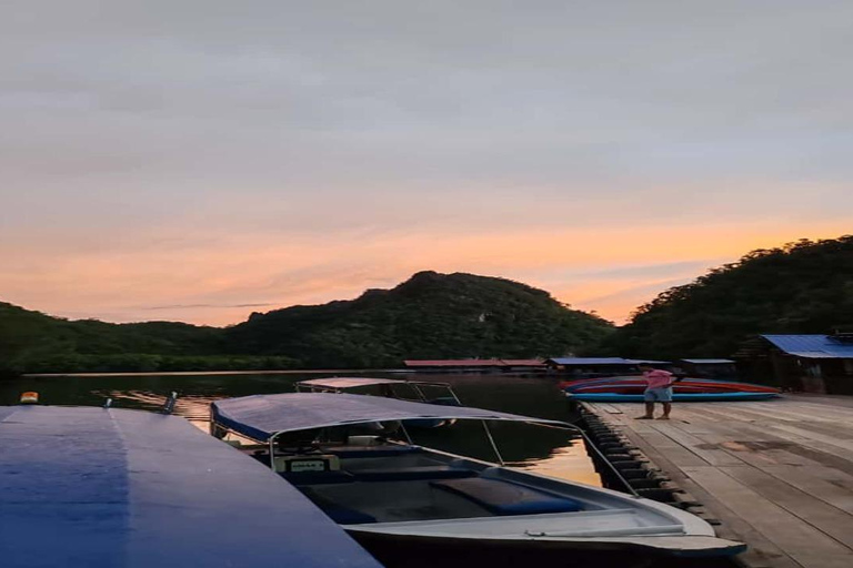 Night Safari Mangrove Tour with Guide & BBQ Buffet