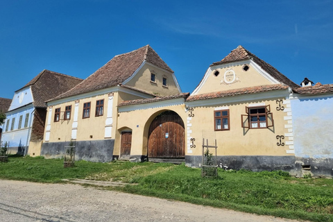 Transylvania 4-Day Tour: Castles, Bears & UNESCO