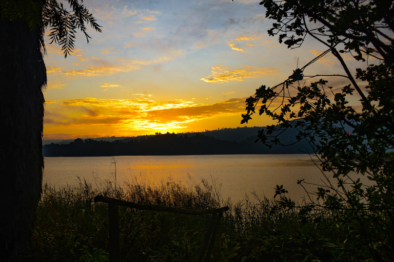 Uganda 10-tägige Wild- und Primaten-Safari.