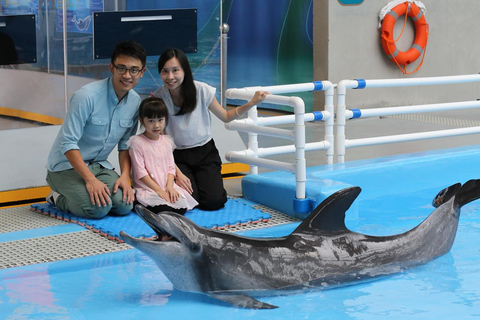 Hong Kong: Ocean Park Meet the Dolphin Unique Experience