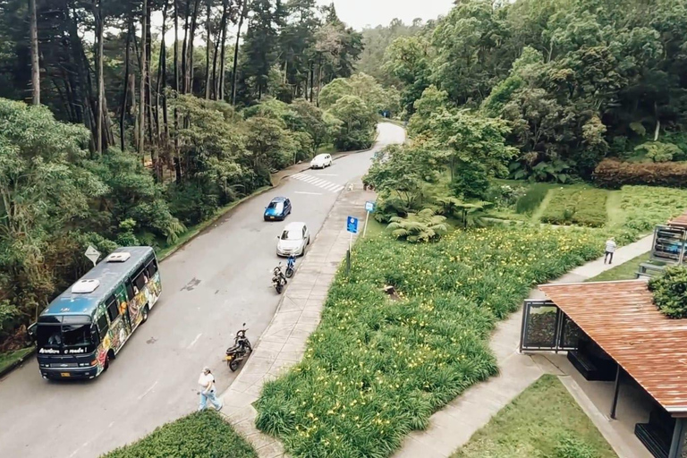 Medellín: Excursion to Arví and Finca de Flores - Hike, Snack & Lunch