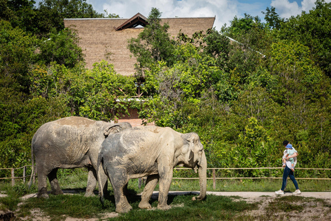 Excursão de um dia aos templos de Angkor Wat e à floresta de elefantes de Kulen