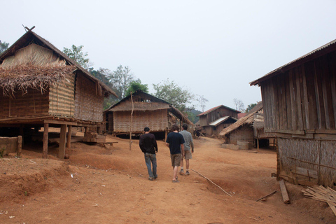 Luang Prabang: 1 Day Hike Hmong Village & Kuangsi Waterfall