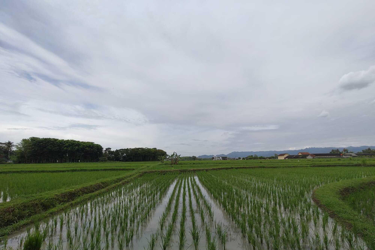 Yogyakarta: Kulon Progo Village Cycling Tour with Snacks