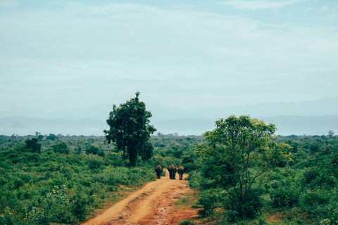 Sri Lanka Bergzug, Wasser-Rafting, Dschungel-Safari