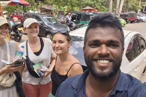 Sigiriya:Private Transfer to Ella with options From Sigiriya:Private Transfer to Ella with Kandy & Tea Tour