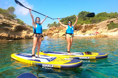 Paddleboard Excursion along the Ebro Delta - 7 routes Paddle surfing excursion through the Ebro Delta – 7 routes