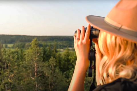 Ze Sztokholmu: Wildlife Safari z kolacją przy ognisku