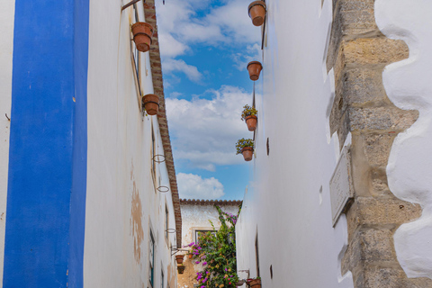 From Porto: Private Transfer to Lisbon until 3 Stops Transfer Porto - Lisbon with no stops