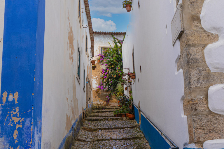 From Porto: Private Transfer to Lisbon until 3 Stops Transfer Porto - Lisbon with no stops