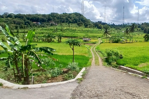 Yogyakarta: Borobudur Temple, Palm Sugar & Batik Tour