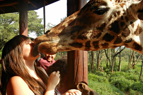 Nairobi: Giraffecentrum, Olifantenweeshuis en Karen Blixen