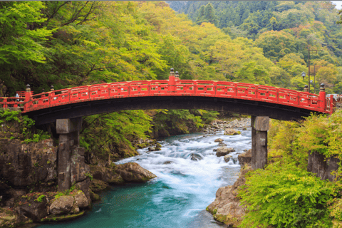 Kyoto/Osaka: Kyoto en Nara Aanpasbare dagtrip met gids