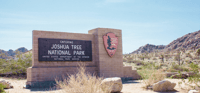 Joshua Tree National Park, zelfgeleide rijtournee - Housity