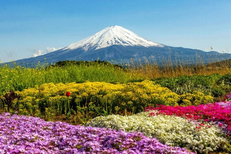 From Tokyo: Private Mount Fuji Day Trip with Driver