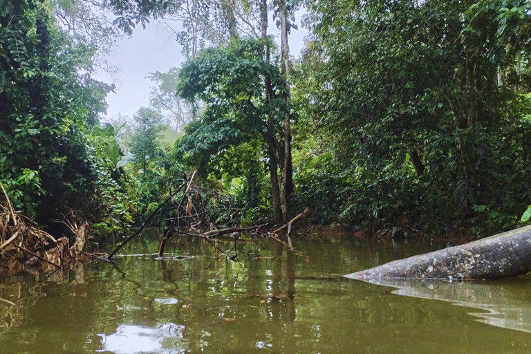 Private Kayaking Adventure: a 2-hour Wildlife Escape Self-Guided Kayaking Adventure: a 2-hour Wildlife Escape