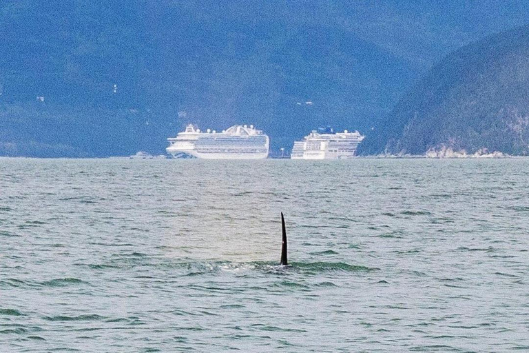Skagway: Ocean Raft Adventure Along Scenic Coastline