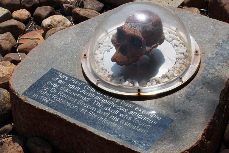 Johannesburg: Cradle of Humankind Day Tour mit Abholung vom Hotel