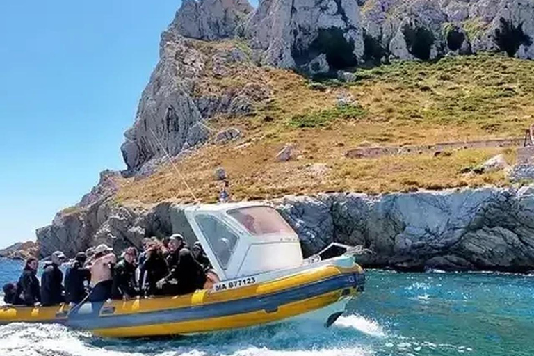 Marseille: Snorkeling Excursion to the Frioul Islands