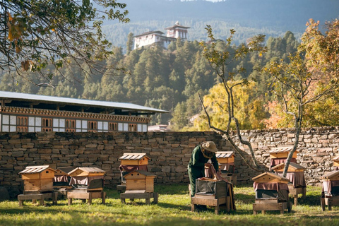 Bhutan: 11-Day Cultural Tour with Haa Valley Homestay