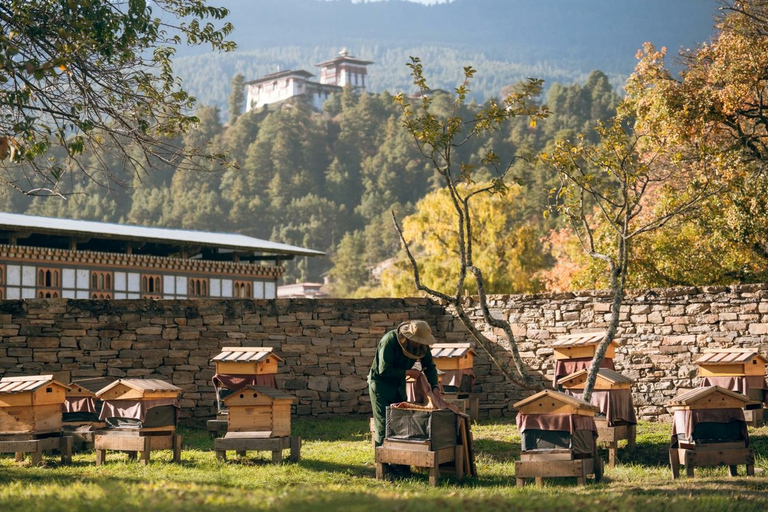 Bhutan: 11-Day Cultural Tour with Haa Valley Homestay