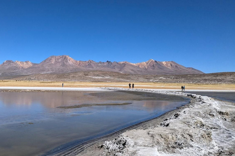 Visita às lagoas Salinas e Yanaorco + Termas de Lojen