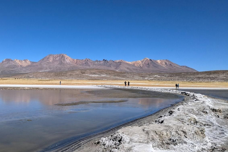 Tour of Salinas and Yanaorco lagoons + Lojen thermal baths