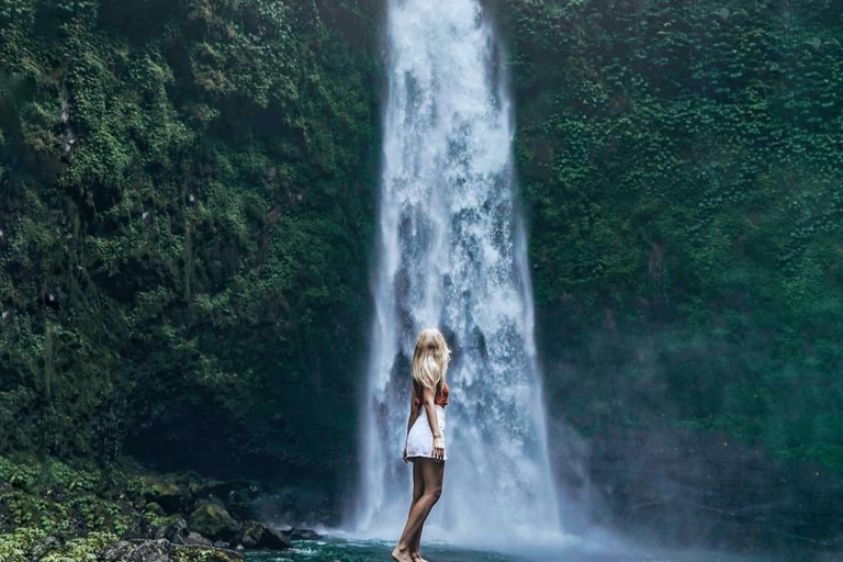 Bali: Monkey Forest, Waterfall, Swing & Beratan Lake Temple Private Tour Without Entrance Tickets