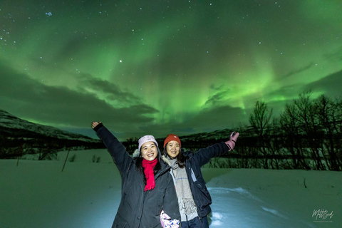 From Tromsø: Northern Lights Chase with Photos and Dinner