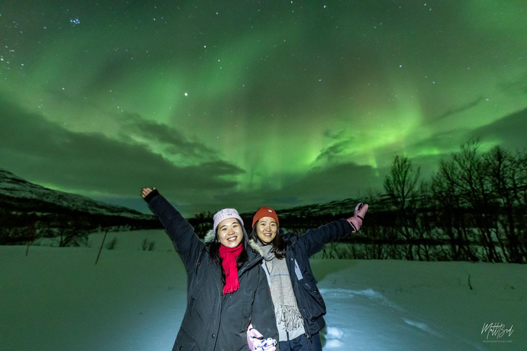 From Tromsø: Northern Lights Chase with Photos and Dinner