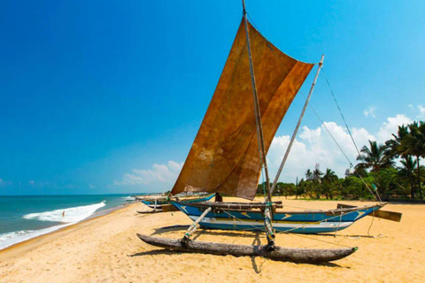 Down South Sri Lanka: 5-Day Beach Adventure Tour