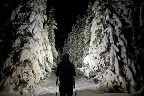 Tromsø: Ski/Randonnee Guided Tour Private tour