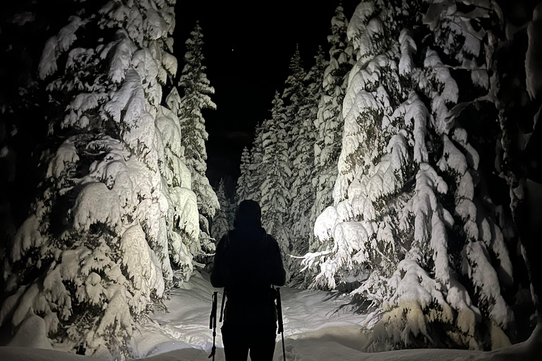 Tromsø: Ski/Randonnee Guided Tour Private tour