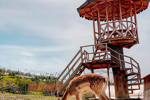 From Durres: Farmland, Vineyard &amp; Wine Tasting Tour