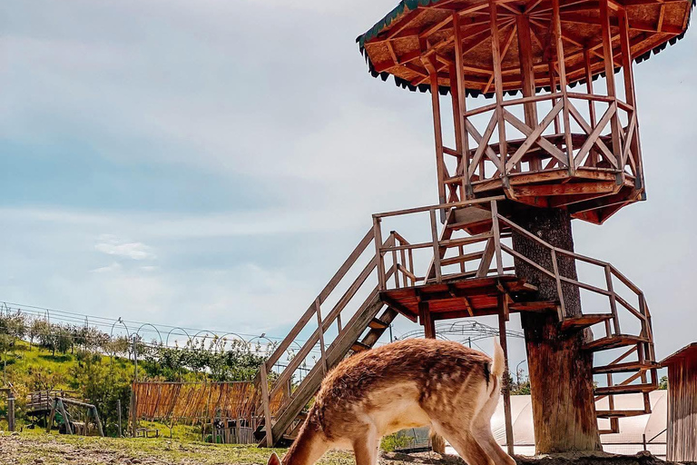 From Durres: Farmland, Vineyard &amp; Wine Tasting Tour