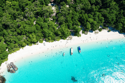 From Phuket or Khaolak : Similan Islands Day Trip Pick Up from Phuket Area (include Transfer from Phuket)