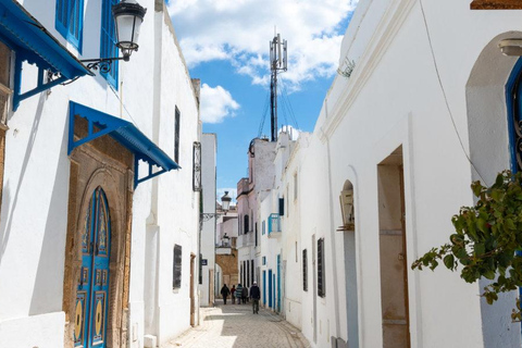 From Tunis/Hammamet: Carthage, Sidi Bou Said, and the Medina Carthage, Sidi Bou Said & Medina (coach and driver only)