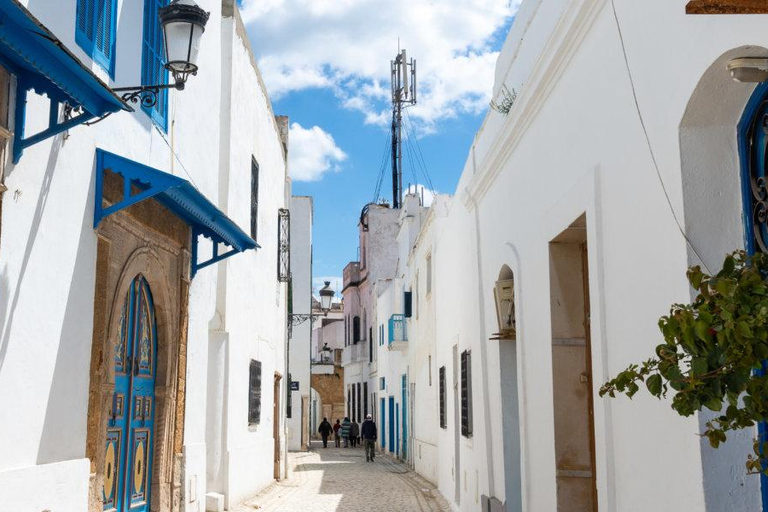 From Tunis/Hammamet: Carthage, Sidi Bou Said, and the Medina Carthage, Sidi Bou Said & Medina (coach and driver only)