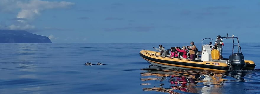 Passeios Turísticos : Excursion en bateau à Corvo