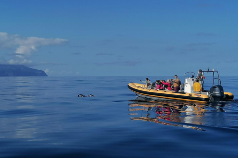 Passeios Turísticos: Trip to Corvo by Boat