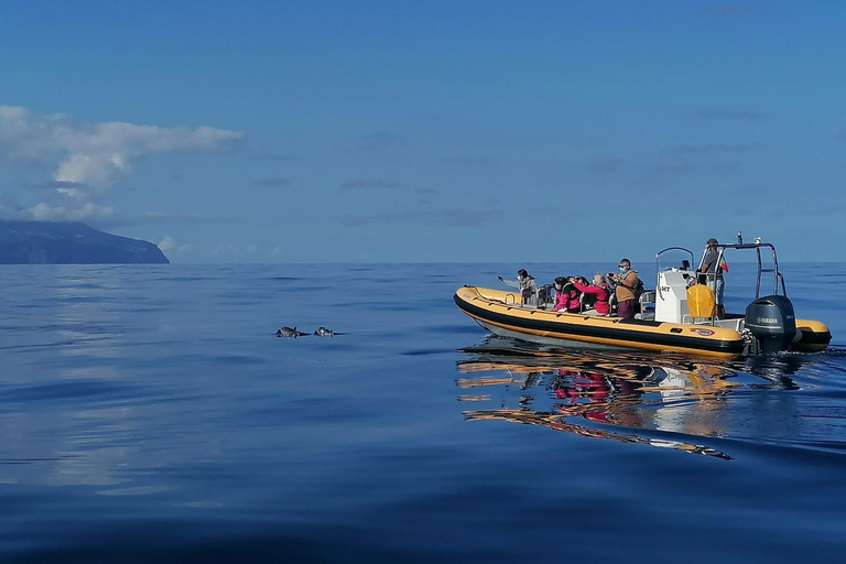 Passeios Turísticos: Ausflug nach Corvo mit dem Boot