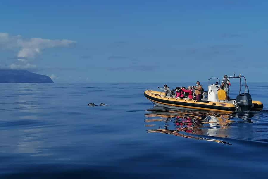 Passeios Turísticos: Ausflug nach Corvo mit dem Boot. Foto: GetYourGuide