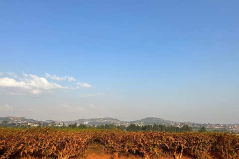 Kajansi: Hike Kiwamirembe Hill and Pilgrimage Tour