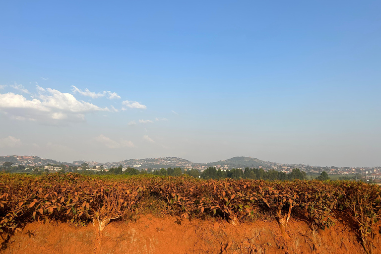 Kajansi: Hike Kiwamirembe Hill and Pilgrimage Tour