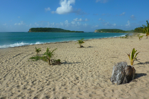 From Fajardo: Boat and Snorkeling in Culebra Island with All-Inclusive From Fajardo: All-Inclusive Snorkeling in Culebra