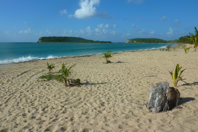 From Fajardo: Boat and Snorkeling in Culebra Island with All-Inclusive From Fajardo: All-Inclusive Snorkeling in Culebra