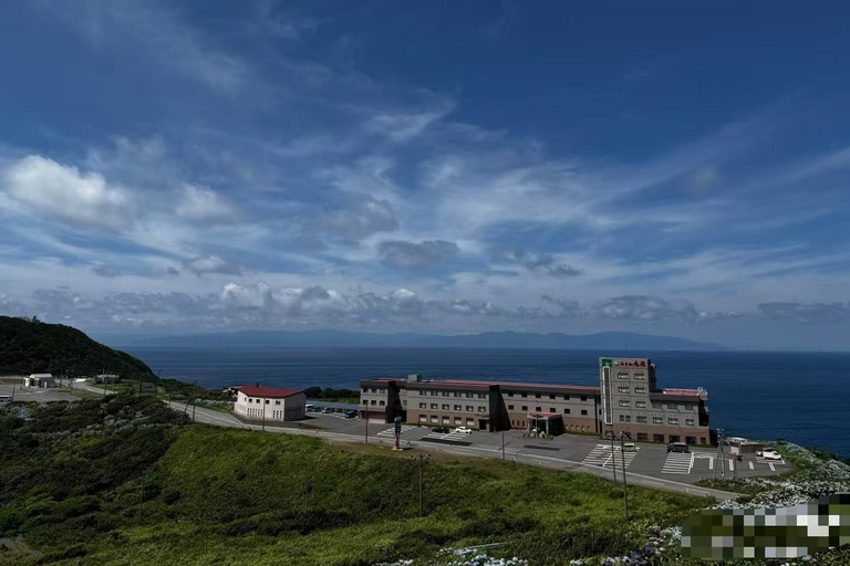 Aomori: Private Day Trip from airport/hotel/port (8h)