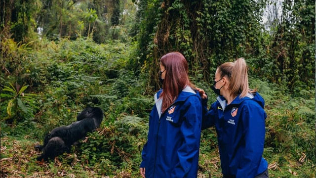 Kigali: 2-Day Gorilla Trekking, Lake Kivu Boat Cruise Tour
