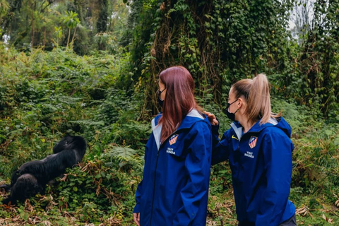 Kigali: 2-Day Gorilla Trekking, Lake Kivu Boat Cruise Tour Gorilla Trekking, Lake Kivu Boat Cruise Tour + Serena