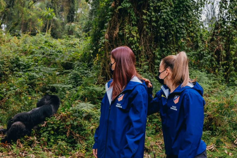 Kigali: 2-Day Gorilla Trekking, Lake Kivu Boat Cruise Tour